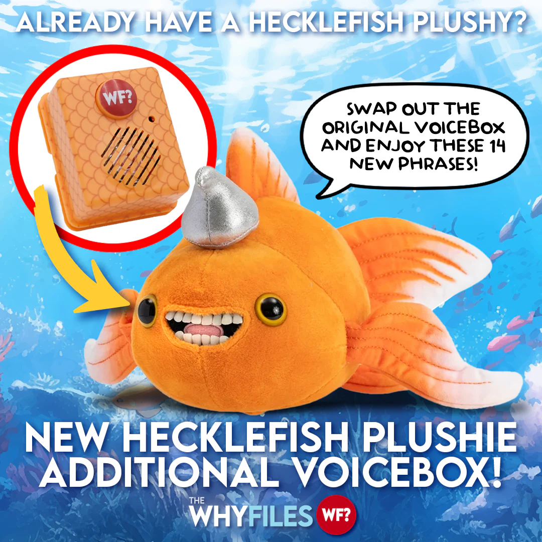 Plushie and Voicebox 2.0 Combo - Image 2