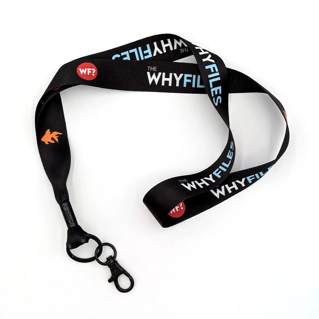 The Why Files Lanyard - Wear Your Curiosity with Pride - Image 3