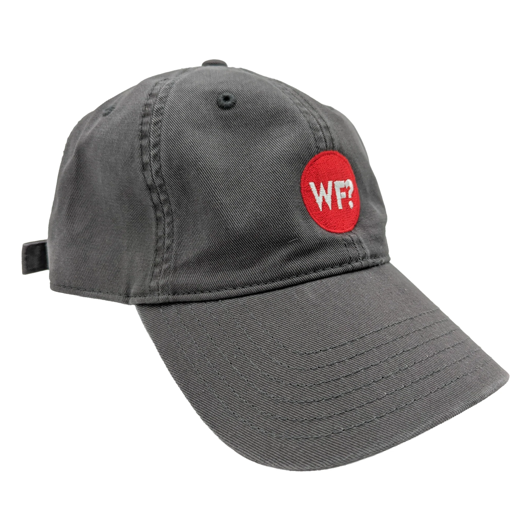 Why Files Embroidered Dad Hat - Grey - Image 5
